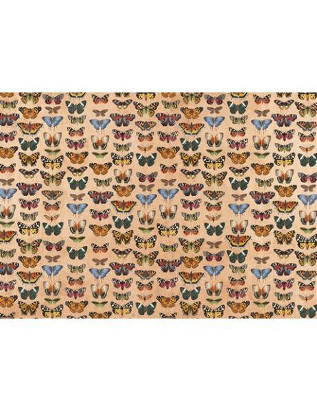 Alberto Juárez -  PAPER PRESS Mariposas - Traveler