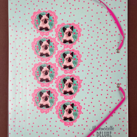 Exacompta - Carpeta clasificadora A4 con gomas - Gatitos