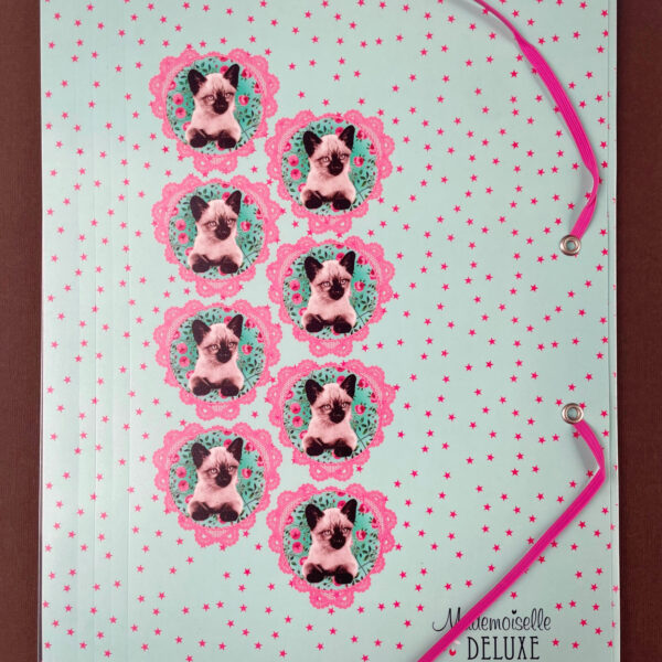 Exacompta - Carpeta clasificadora A4 con gomas - Gatitos