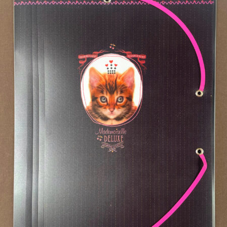 Exacompta - Carpeta clasificadora A4 con gomas - Gatito
