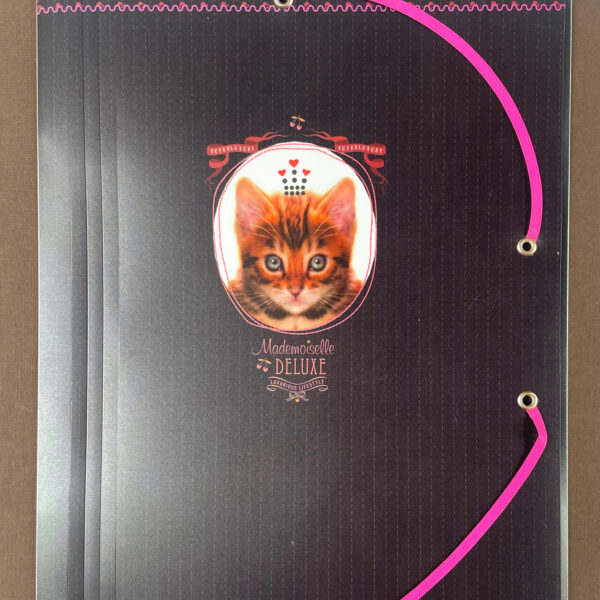 Exacompta - Carpeta clasificadora A4 con gomas - Gatito