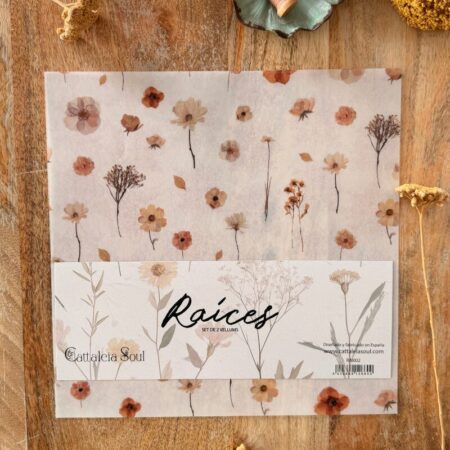 My Lovely Journal - Kit 2 papeles vellum estampados 30,5 x 30,5 cm – RAICES