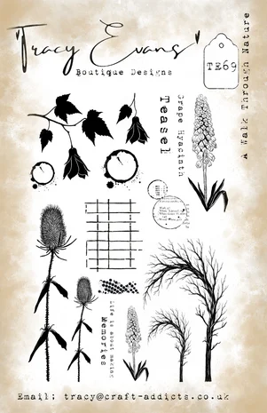 Tracy Evans - A Walk Through Nature A5 Stamp
